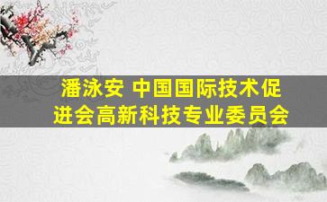 潘泳安 中国国际技术促进会高新科技专业委员会